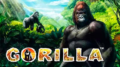 Gorilla